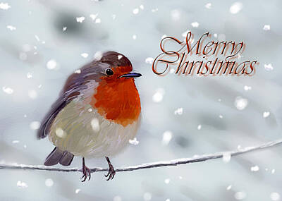 The Stinking Rose - Merry Christmas - Robin by Arie Van der Wijst
