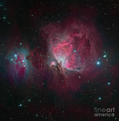 Lets Be Frank - Messier 42, The Orion Nebula by Michael Miller
