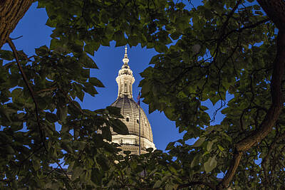 Sultry Plants Rights Managed Images - Michigan State Capitol and Tree Royalty-Free Image by John McGraw