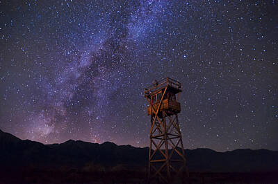 Mammals Royalty-Free and Rights-Managed Images - Milky Way at Manzanar by Cat Connor