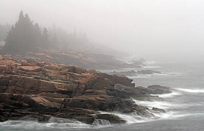 Womens Empowerment Rights Managed Images - Misty Acadia National Park Seacoast Royalty-Free Image by Juergen Roth