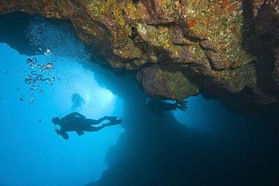 Sports Royalty Free Images - Molokini, Maui, Hawaii, Usa Scuba Diver Royalty-Free Image by Stuart Westmorland