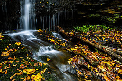Sean - Monongahela Forest Waterfall by Thomas R Fletcher