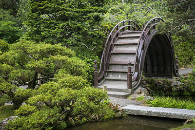 Florals Photos - Moon Bridge - Japanese Tea Garden by Adam Romanowicz