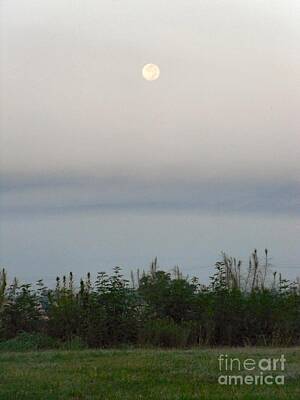 Fromage - Morning Moon Rise by Audrey Van Tassell