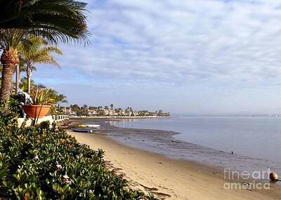 Landscape Royalty-Free and Rights-Managed Images - Morning View South San Diego Bay by Barbie Corbett-Newmin