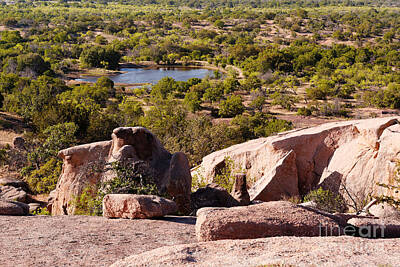 Juan Bosco Forest Animals - Moss Lake Overlook from Little Rock - Enchanted Rock Texas Hill Country by Silvio Ligutti