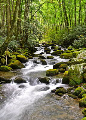 Tea Time - Mossy Mountain Stream by Frozen in Time Fine Art Photography