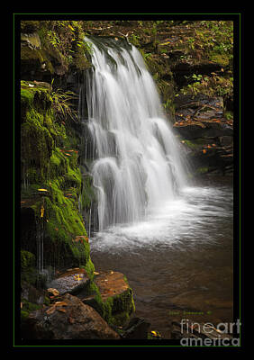 Latidude Image - Mossy Wilderness Waterfall Cascade by Lone Palm Studio
