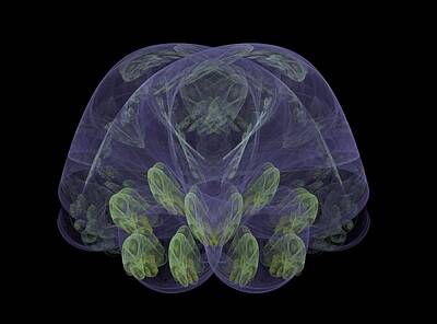 Space Photographs Of The Universe - Mother Jelly Fish by Bruce Nutting