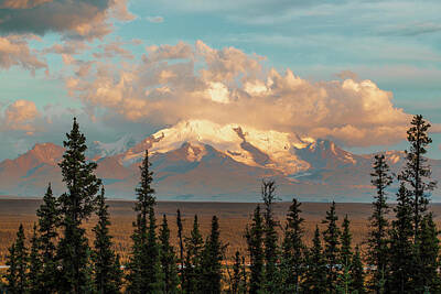 Travel Pics Royalty Free Images - Mount Drum Rises Into The Clouds Royalty-Free Image by Zachary Sheldon