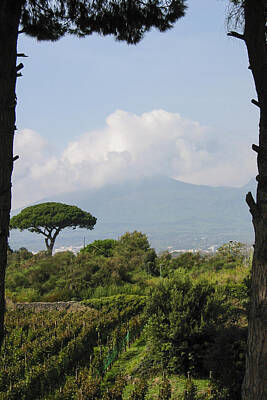 Wine Photos - Mount Vesuvius by Adam Romanowicz