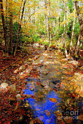 Beach Photos - Mountain Stream Covered With Fall Leaves by Eunice Miller