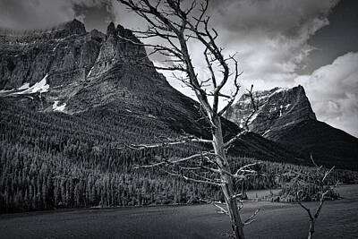 Mountain Royalty-Free and Rights-Managed Images - Mountain View at Glacier National Park in Black and White by Randall Nyhof