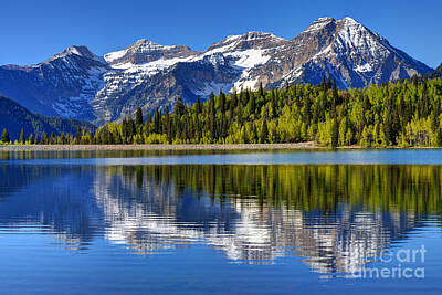 Mountain Rights Managed Images - Mt. Timpanogos Reflected in Silver Flat Reservoir - Utah Royalty-Free Image by Gary Whitton