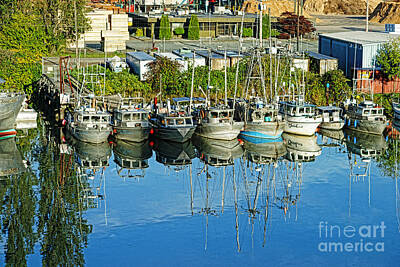 Dog Illustrations Rights Managed Images - Multi-Reflections of Fishing Boats HDRBT4445-13  Royalty-Free Image by Randy Harris