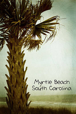 Achieving - Myrtle Beach SC by Karol Livote