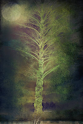 Bear Photography Rights Managed Images - Mysterious Tree in Moonlight Royalty-Free Image by Angela Stanton