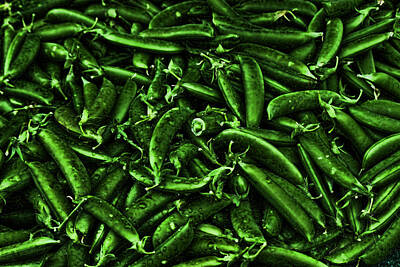 Underwood Archives - Neon Green PeaPods by Cathy Anderson
