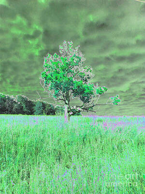 Abstract Landscape Photos - Neon Green Tree Landscape Abstract  by Minding My  Visions by Adri and Ray