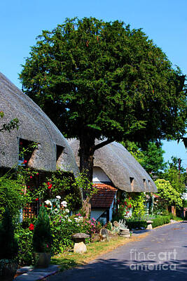 Western Buffalo Royalty Free Images - Nether Wallop Thatched cottages Royalty-Free Image by Terri Waters