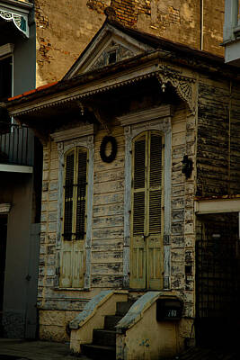 The Dream Cat - New Orleans Row House by Susie Hoffpauir