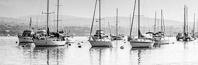Transportation Royalty-Free and Rights-Managed Images - Newport Beach Harbor Boats Panorama Photo by Paul Velgos