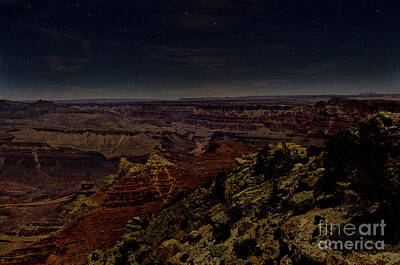 Road And Street Signs - Nightime in the Canyon by Rich Priest