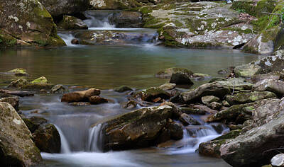 Little Mosters - North Prong Of Flat Fork Creek by Daniel Reed