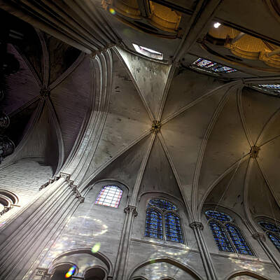 Animal Portraits - Notre Dame Ceiling South by Evie Carrier