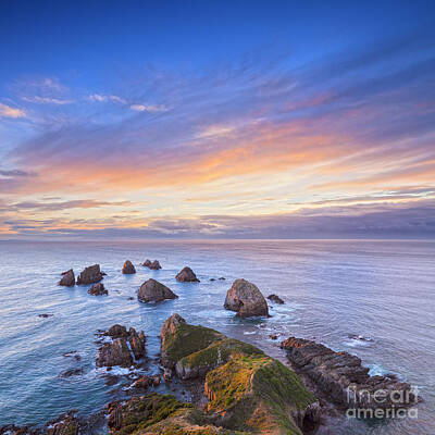 Bear Paintings Royalty Free Images - Nugget Point Otago New Zealand Royalty-Free Image by Colin and Linda McKie