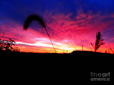 Fathers Day 1 Royalty Free Images - October 14 2013 sunrise Royalty-Free Image by Tina M Wenger