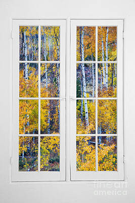Classical Masterpiece Still Life Paintings - Old 16 Pane White Window Colorful Fall Aspen View  by James BO Insogna
