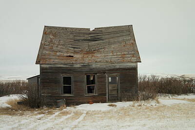 Birds Royalty-Free and Rights-Managed Images - Old Homestead North Dakota by Jeff Swan
