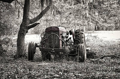 Harley Davidson Motorcycles Rights Managed Images - Old Massey Ferguson Tractor Royalty-Free Image by Scott Hansen