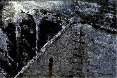 Abstract Animalia - Old Stone Wall by Christopher Bage