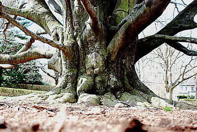 Lake Life Royalty Free Images - Old Tree Roots Royalty-Free Image by Jean Macaluso