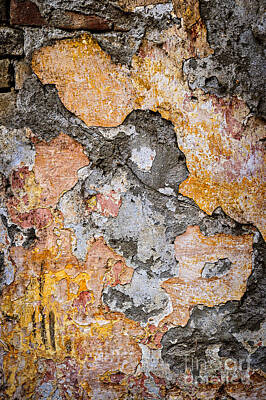 Abstract Photos - Old wall abstract by Elena Elisseeva