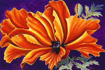 Floral Paintings - Orange Poppy by Carolyn D Barela