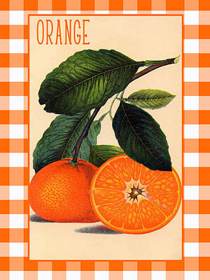 Vintage Buick - Oranges Botanical Print by Scarebaby Design