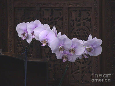 Featured Tapestry Designs - Orchids Loretta by Alice Terrill
