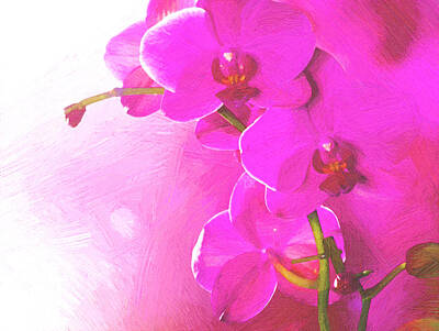 Animal Paintings James Johnson - Orchids by VRL Arts