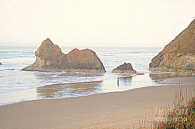 Fromage - Oregon Coast by Mindy Bench