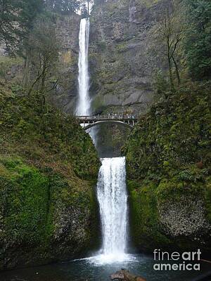 Fine Dining - Oregon Long Shot of  Falls by Susan Garren