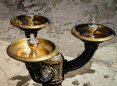 Comedian Drawings Royalty Free Images - Ornate Drinking Fountain Royalty-Free Image by KATIE Vigil