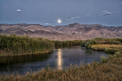 Mammals Photos - Owens River Moonrise by Cat Connor