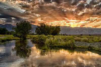Sunset Royalty-Free and Rights-Managed Images - Owens River Sunset by Cat Connor