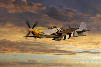 Birds Royalty-Free and Rights-Managed Images - P-51 Ferocious Frankie by Airpower Art