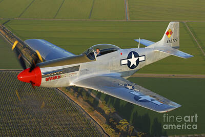 Vincent Van Gogh - P-51d Mustang Flying Over Chino by Phil Wallick