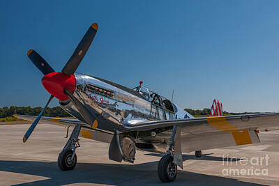 Rustic Cabin - P51 Mustang Airplane by Dale Powell